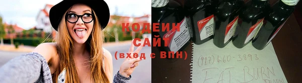 хмурый Каменногорск