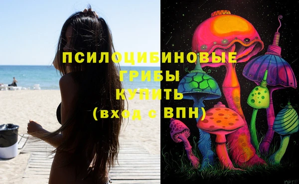 хмурый Каменногорск