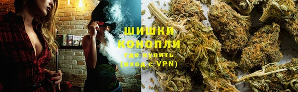 хмурый Каменногорск