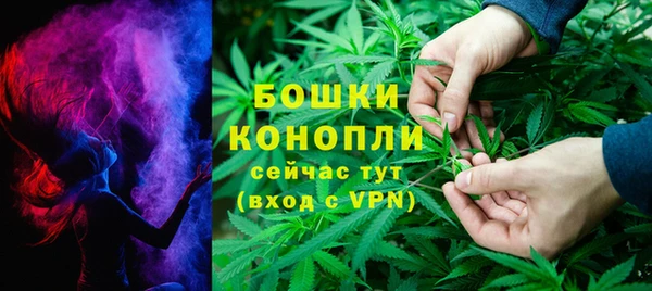 хмурый Каменногорск