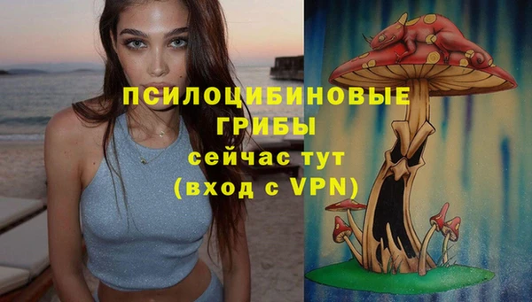 хмурый Каменногорск