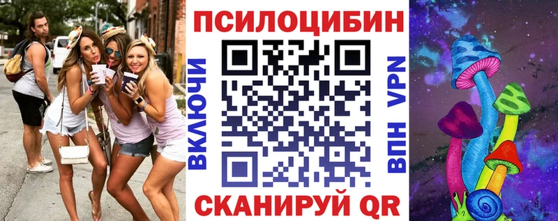 Купить  Десногорск  Псилоцибиновые грибы мицелий 